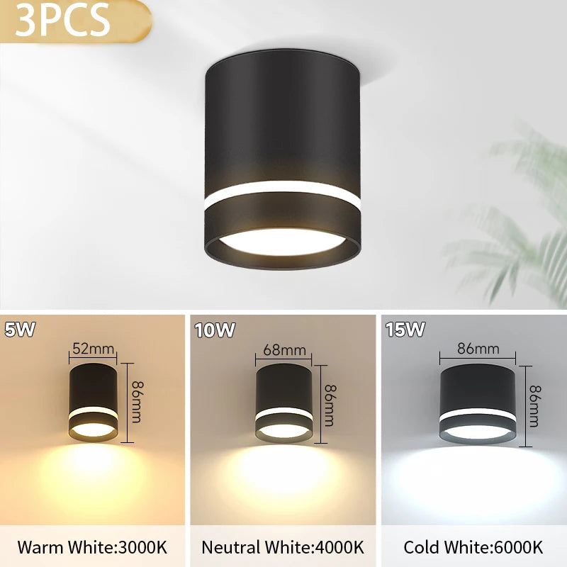 Led Surface Mounted Downlight Lights Ceiling Lamp 220V 5w 10w 15w Spot Lights Ceiling Fixtures Lighting for Bedroom Kitchen Hom