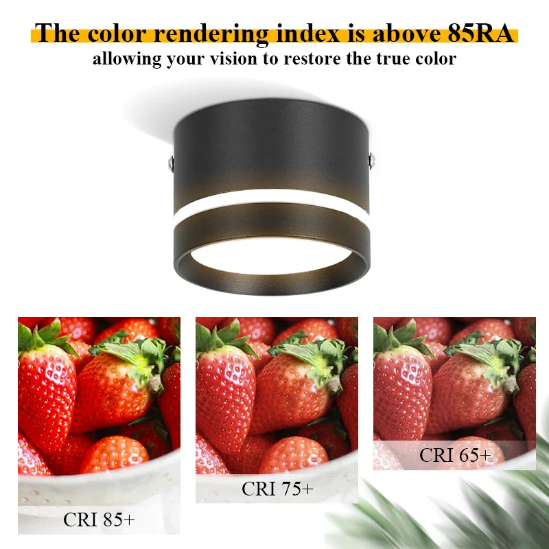 Led Surface Mounted Downlight Lights Ceiling Lamp 220V 5w 10w 15w Spot Lights Ceiling Fixtures Lighting for Bedroom Kitchen Hom