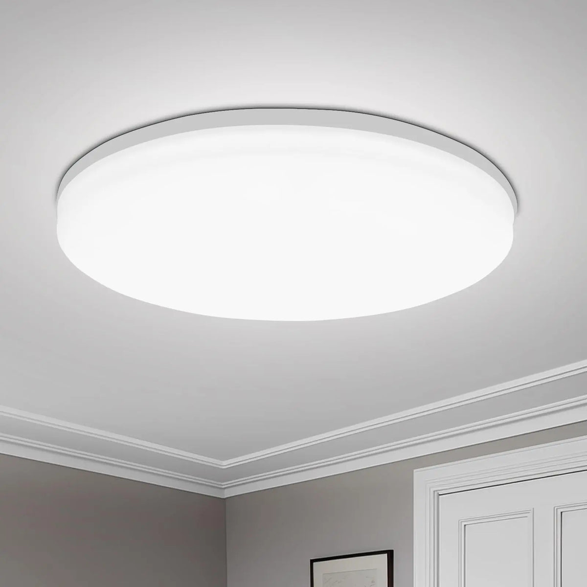 Round LED Ceiling Light Modern Home Decorative Ceiling Lighting Fixture 18/24/36/48W Living Room Bedroom Indoor Kitchen Lighting