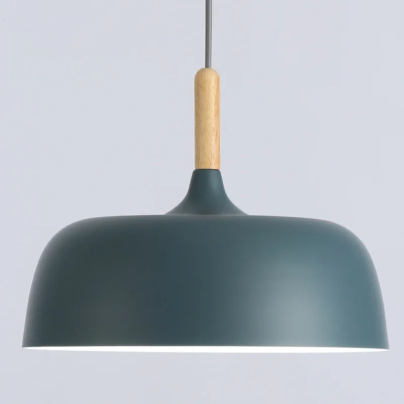 Nordic LED Modern Pendant Lights Living Room Home Decoration Iron Kitchen Dinning Room Hanging Lamps Restaurant Light Fixtures