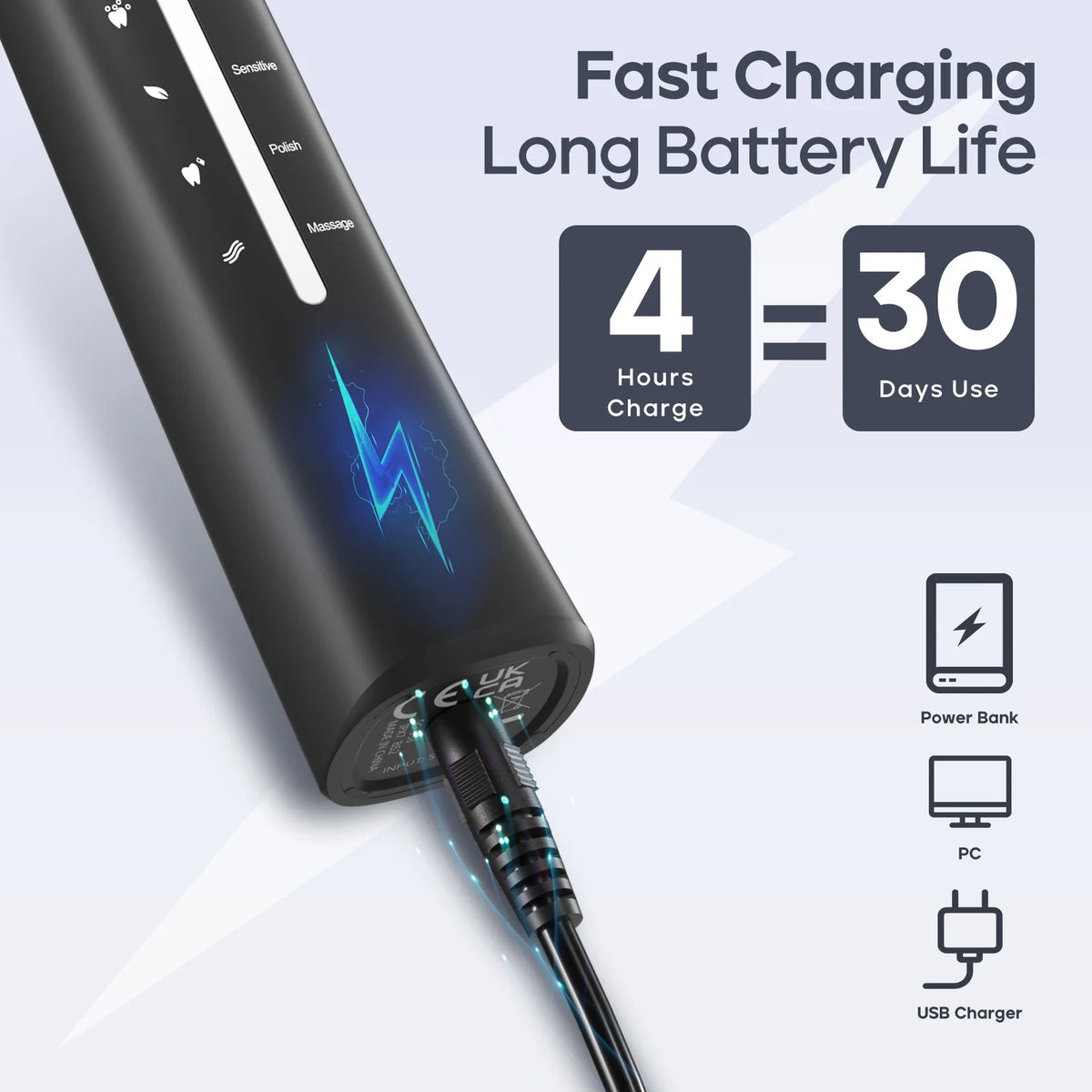 Seago USB Rechargeable Electric Toothbrush for Adults with 10 Replacement Heads