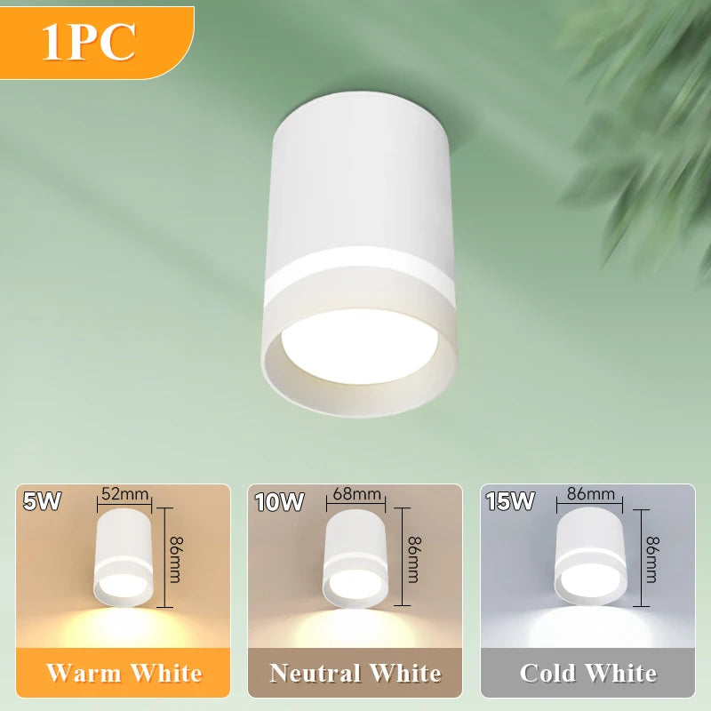 Led Surface Mounted Downlight Lights  Ceiling Lamp 220V 5w 10w 15w Spot Lights Ceiling Fixtures Lighting for Bedroom Kitchen Hom