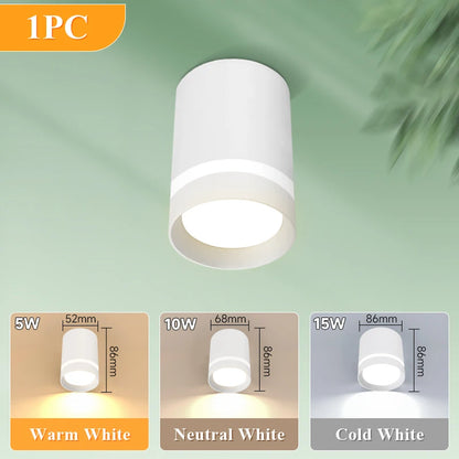 Led Surface Mounted Downlight Lights  Ceiling Lamp 220V 5w 10w 15w Spot Lights Ceiling Fixtures Lighting for Bedroom Kitchen Hom