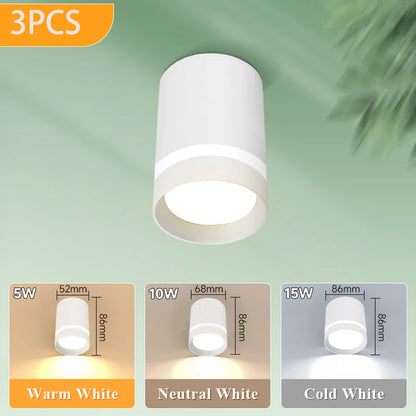 Led Surface Mounted Downlight Lights  Ceiling Lamp 220V 5w 10w 15w Spot Lights Ceiling Fixtures Lighting for Bedroom Kitchen Hom