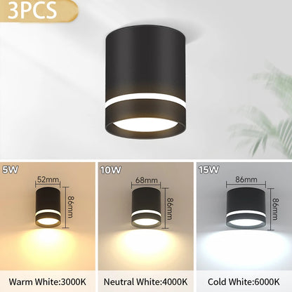 Led Surface Mounted Downlight Lights  Ceiling Lamp 220V 5w 10w 15w Spot Lights Ceiling Fixtures Lighting for Bedroom Kitchen Hom