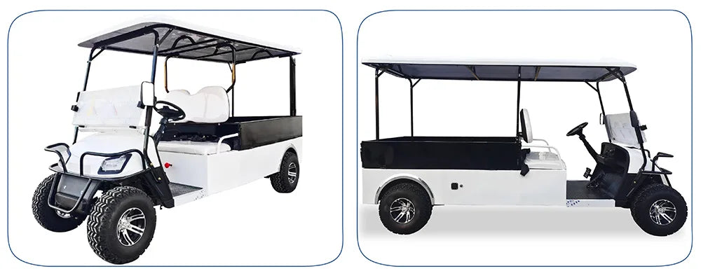 Electric Golf Cart with Cargo Bed, Two-Seater, Off-Road