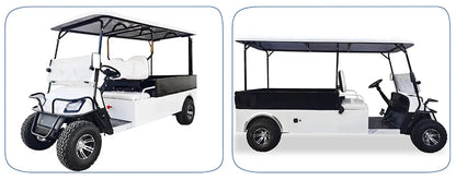 Electric Golf Cart with Cargo Bed, Two-Seater, Off-Road