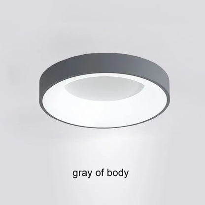 Nordic Ceiling Light Modern LED Simple Lamps For Living Room Bedroom Study Restaurant Home Indoor Round Decor Lighting Fixture