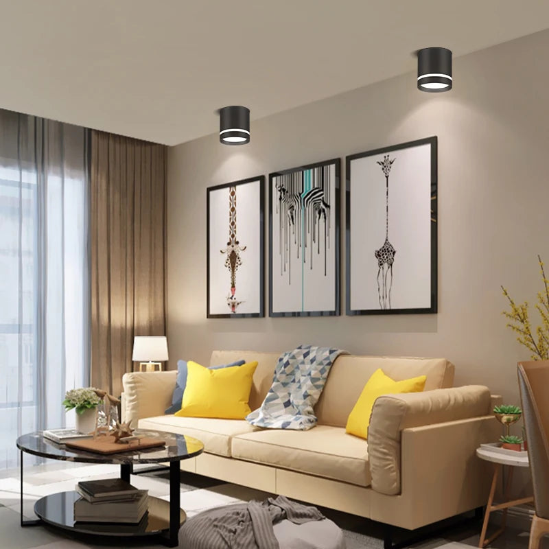 Led Surface Mounted Downlight Lights  Ceiling Lamp 220V 5w 10w 15w Spot Lights Ceiling Fixtures Lighting for Bedroom Kitchen Hom