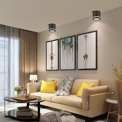 Led Surface Mounted Downlight Lights  Ceiling Lamp 220V 5w 10w 15w Spot Lights Ceiling Fixtures Lighting for Bedroom Kitchen Hom