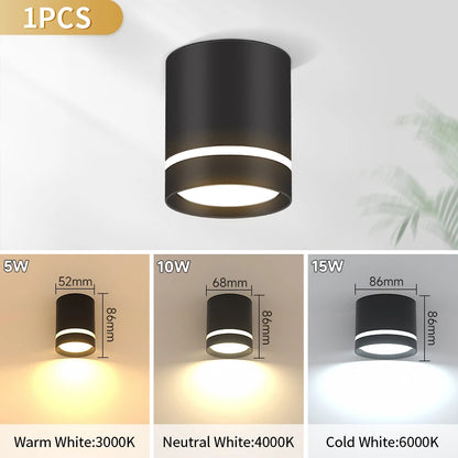 Led Surface Mounted Downlight Lights  Ceiling Lamp 220V 5w 10w 15w Spot Lights Ceiling Fixtures Lighting for Bedroom Kitchen Hom