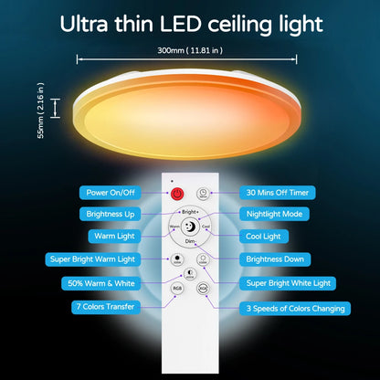 Smart Ceiling Lamp 24w 30w Led Lamp for Bedroom Ceiling Lights with APP Remote Control Dimmable Led Lights for Room Living Room