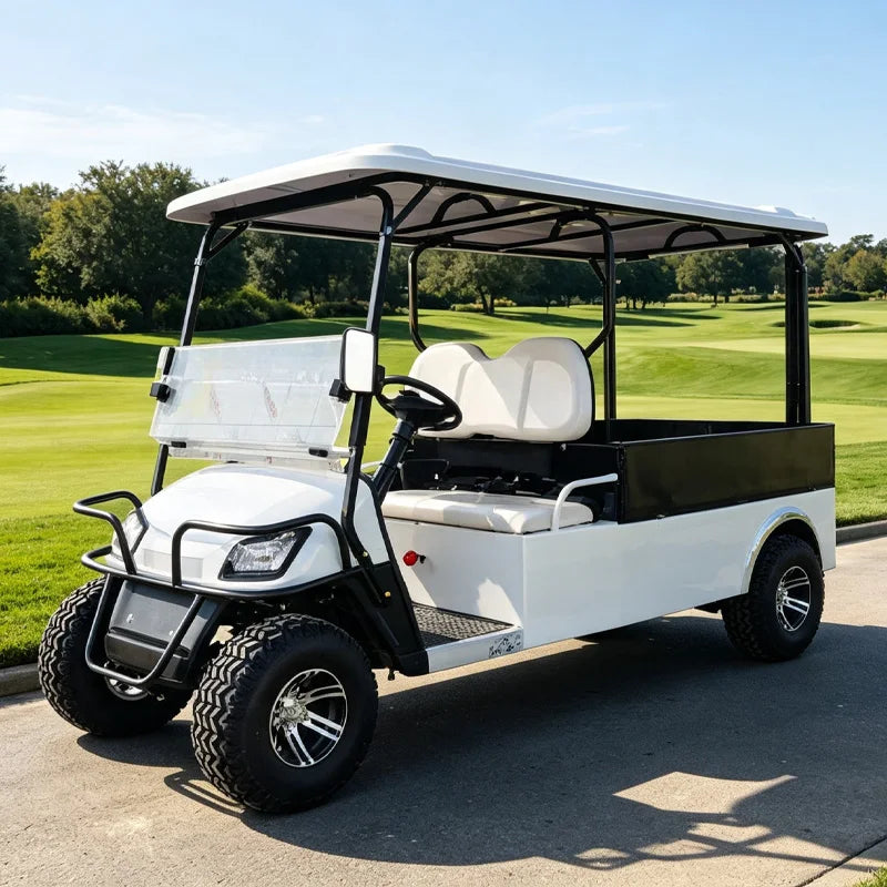 Electric Golf Cart with Cargo Bed, Two-Seater, Off-Road