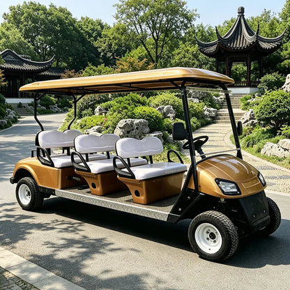 Electric Golf Cart with Cargo Bed, Two-Seater, Off-Road
